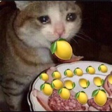 柠檬女孩