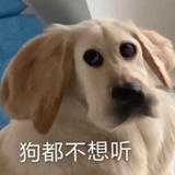 怒嘎ur