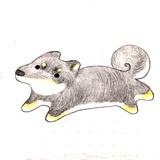 野人柴