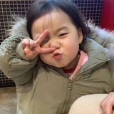 多肉葡萄