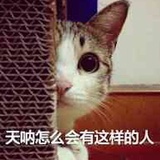 忍不住笑出声