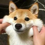 古北界