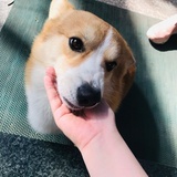 飞机快看我