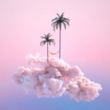 红酒巧克力