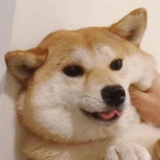 锅奥特曼