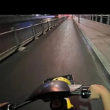 是只狗啊