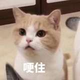 宫主哦