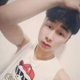 WT凡凡