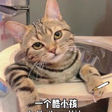 七个月