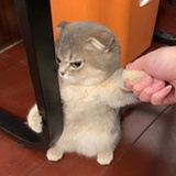 山南水北谓之阳