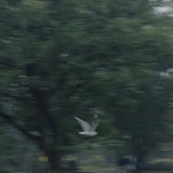 我们逃不掉