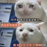 嚯嚯