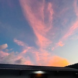 柚子普法君