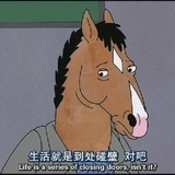 豆瓣VIP用户