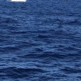 oceancreeper
