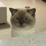不可以自闭