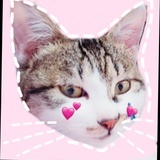 陈三愿