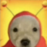 钟摆