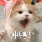 元气少女郭德纲