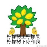 清晨树下的xw