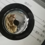疯一样的驴子