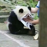 咚咚咚咚咚123