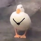 ᯠ  _   ̫ _ ᯄ