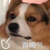 我不李姐