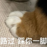 豆友190517864