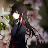 日曦公子