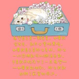 李小乐