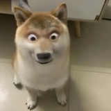 寺言