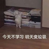 已注销