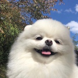 没有在看你啦