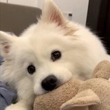 小林今天不熬夜