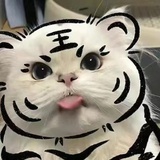 胖次