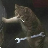 冬日银鱼笋尖肥