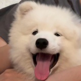 蜡蜡蜡蜡蜡蜡蜡