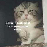 你可少吃点吧！