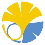 黄土麦田