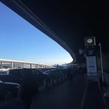 环游世界冰阔落