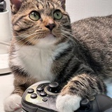 🐱