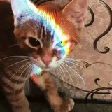 MGNN