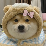 绿油油