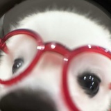 小宝（回归版