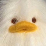 coco不加糖