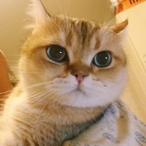 久木