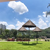 小小目标