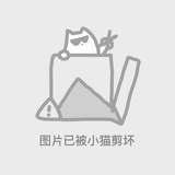 七七八八