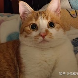 诗与酒之间